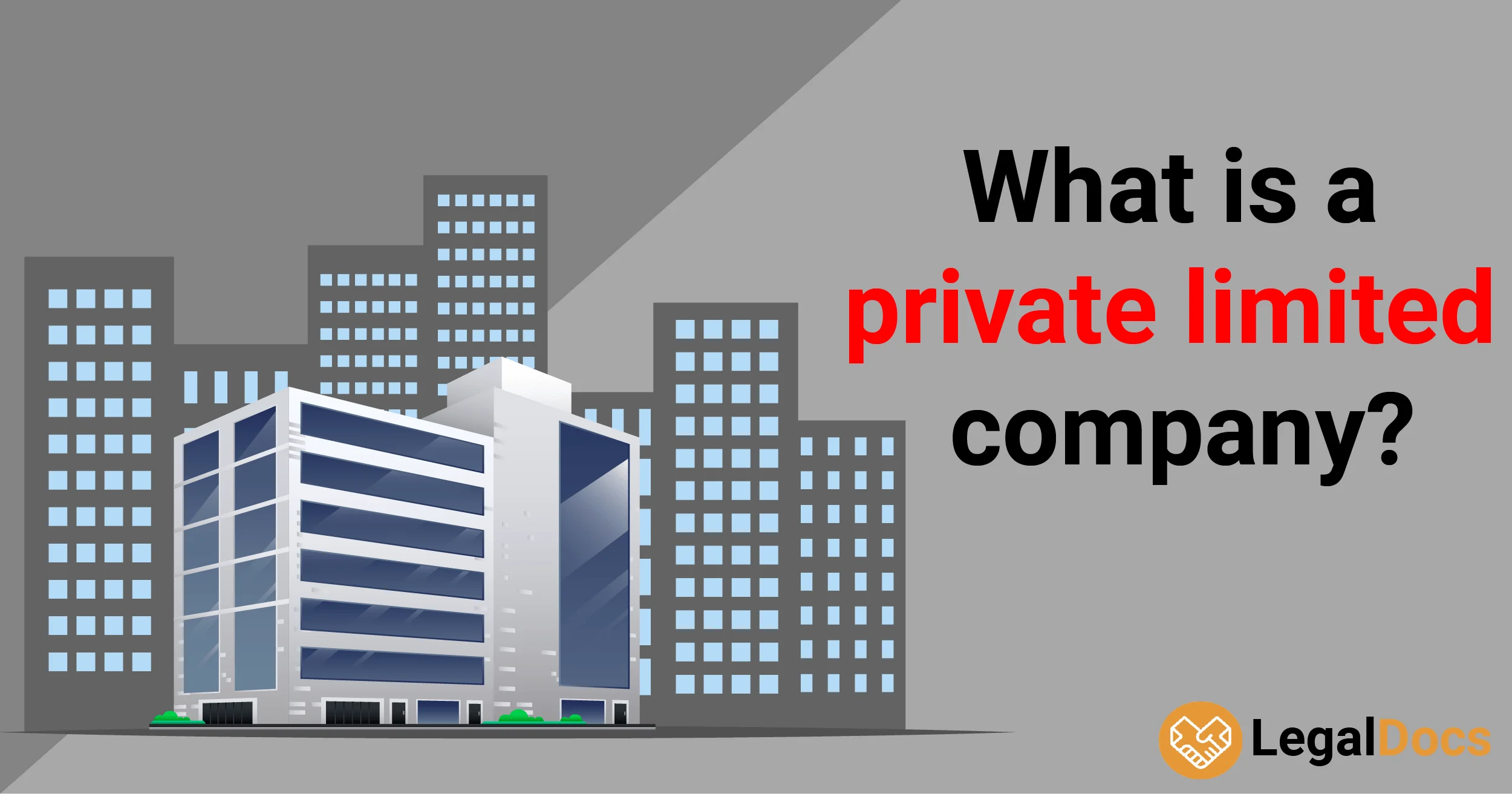 What is a Private Limited Company? - LegalDocs